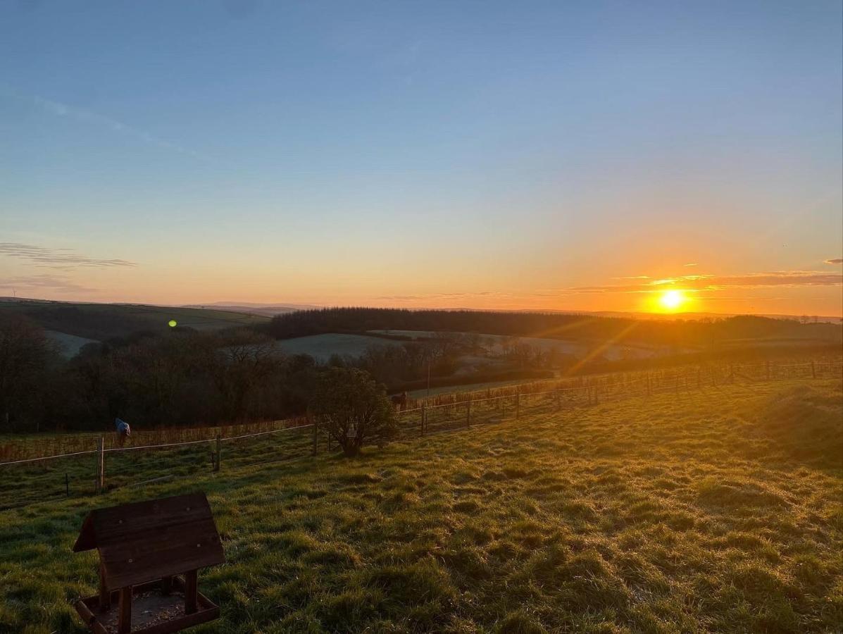 1 Bedroom Holiday Let In The Heart Of West Wales Carmarthen Luaran gambar